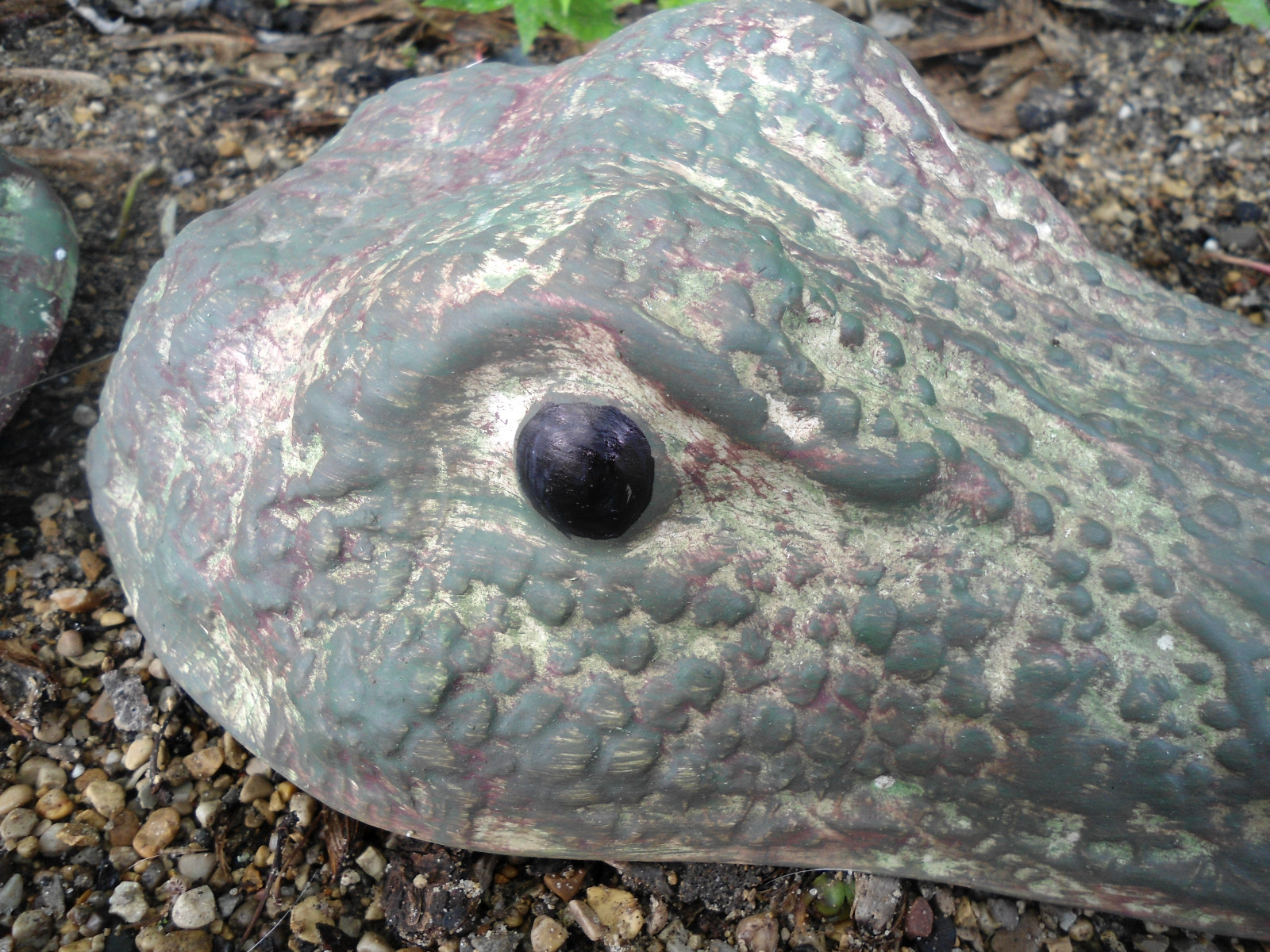 Alligator gator concrete mold 070 abs plastic 34" Total plaster cement mould