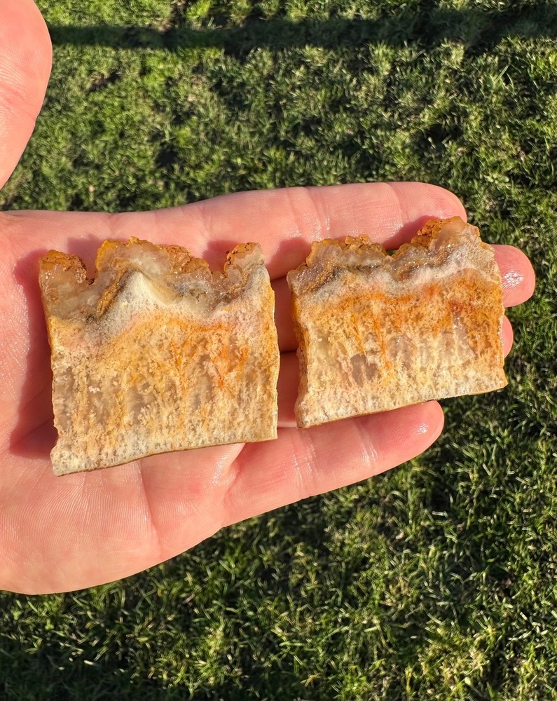 Regency Rose Plume Agate Slabs, Pair, OR, Cabbing/Lapidary