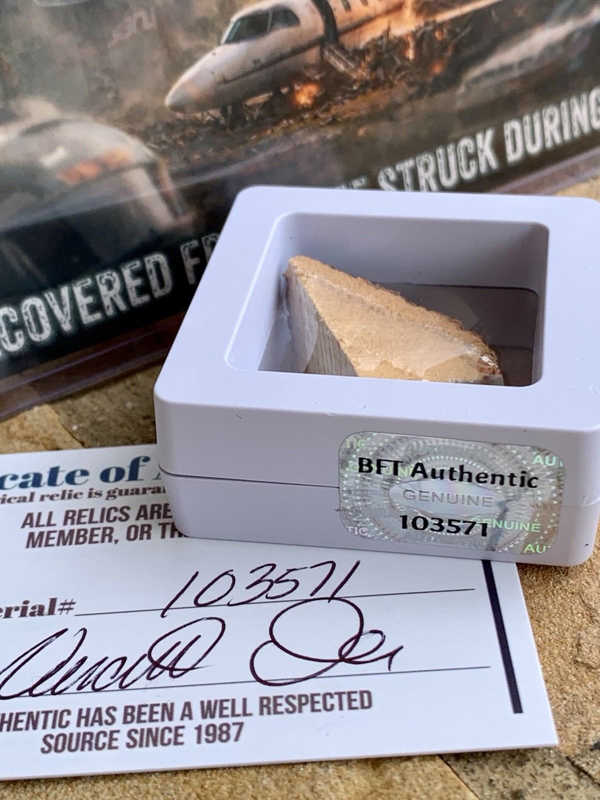 Recovered Impact Tree Fragment — December 2025 Plane Crash (Greg Biffle)