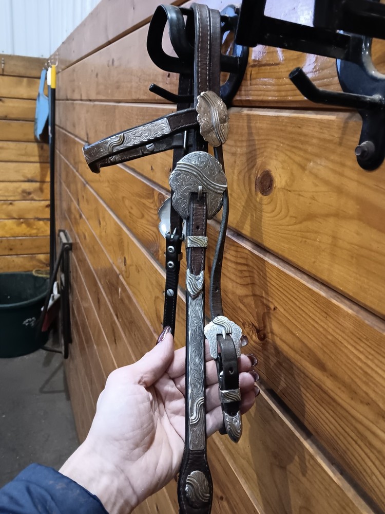 Circle Y Show Headstall