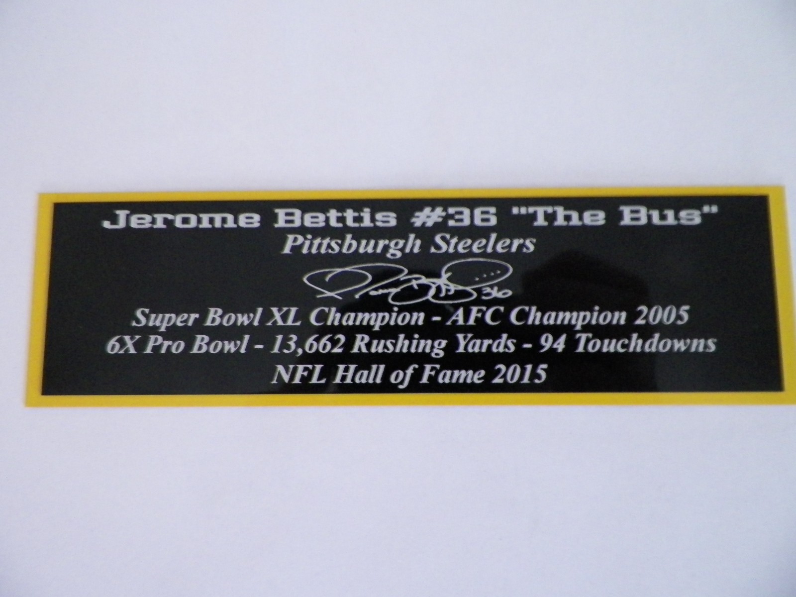 Larry Bird Nameplate Boston Celtics Autograph Photo Basketball Jersey