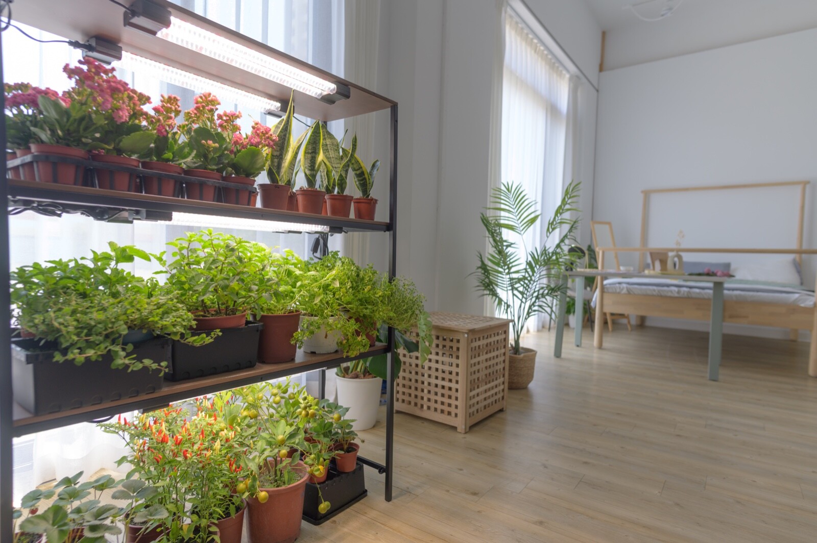 BoostGro LED Plant Grow Light Sunlike Full Spectrum Flower Hydroponics Dual Tube