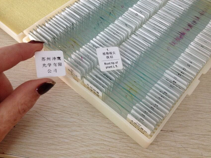 100PCS Educational Specimen Lab Biological Prepared Glass Microscope Slides