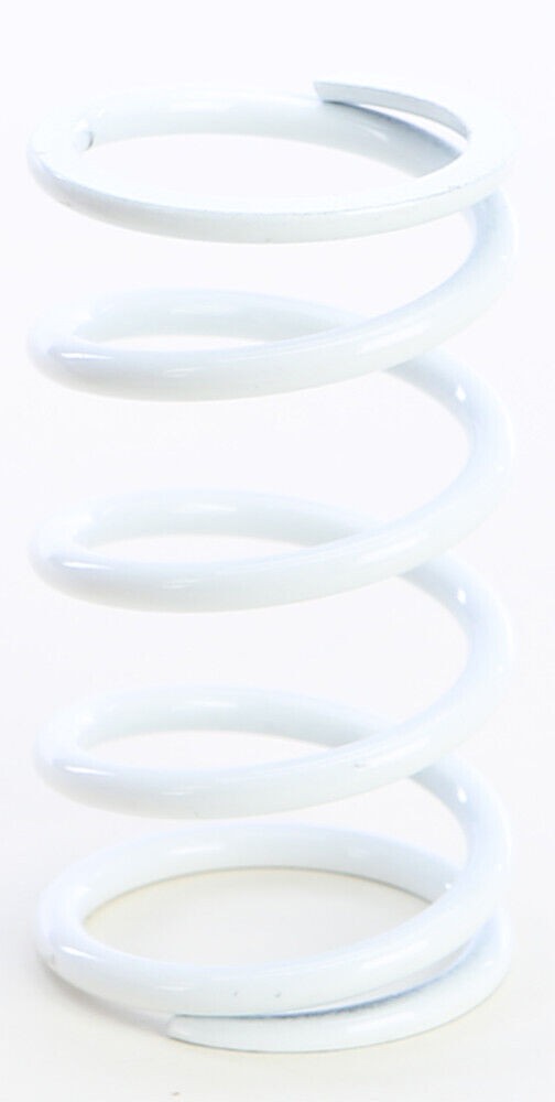 EPI PS-2 Primary Clutch Spring White
