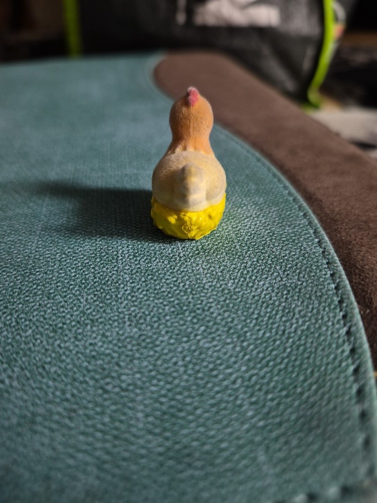 Flocked Chicken On Her Nest