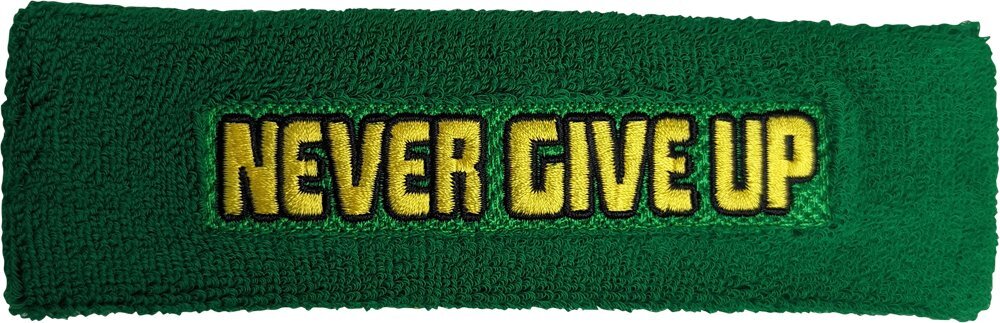 John Cena Earn The Day Green Yellow Headband Wristbands Set