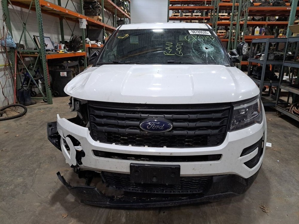2018 Explorer Jack Sku#4407286