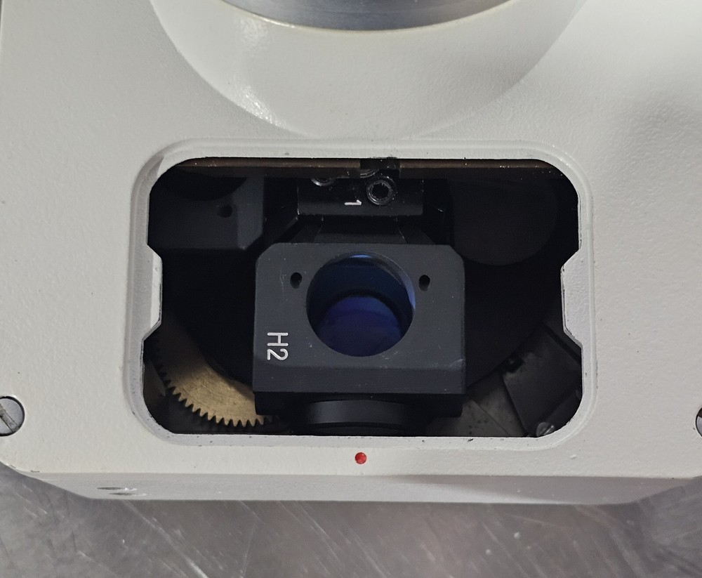 Leitz Orthoplan ICT Fluorescence Microscope