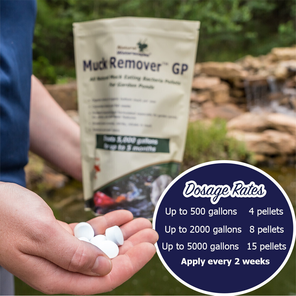 Muck Remover GP for Koi Ponds