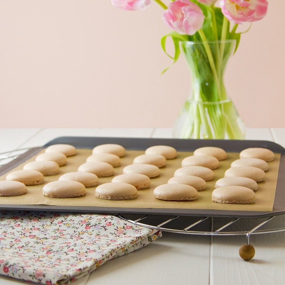 Dehydrator Sheets Jelly Roll Dry Liners PTFE Baking Sheets BBQ Hot Plate Shee...