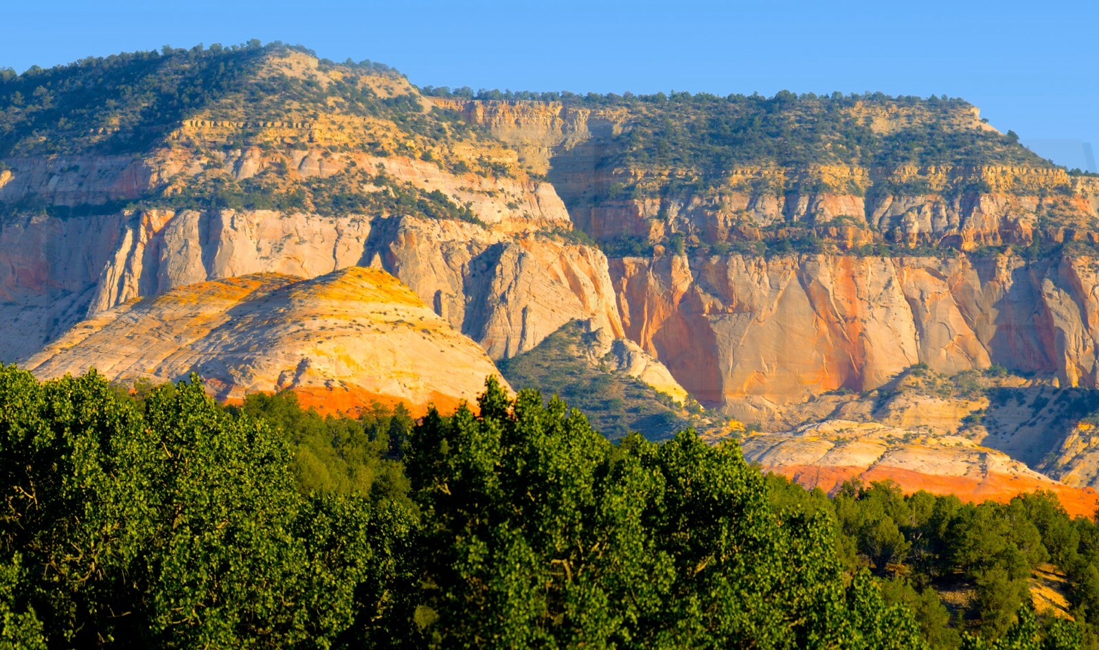 TrainJunkies Southwest Model Railroad Backdrop