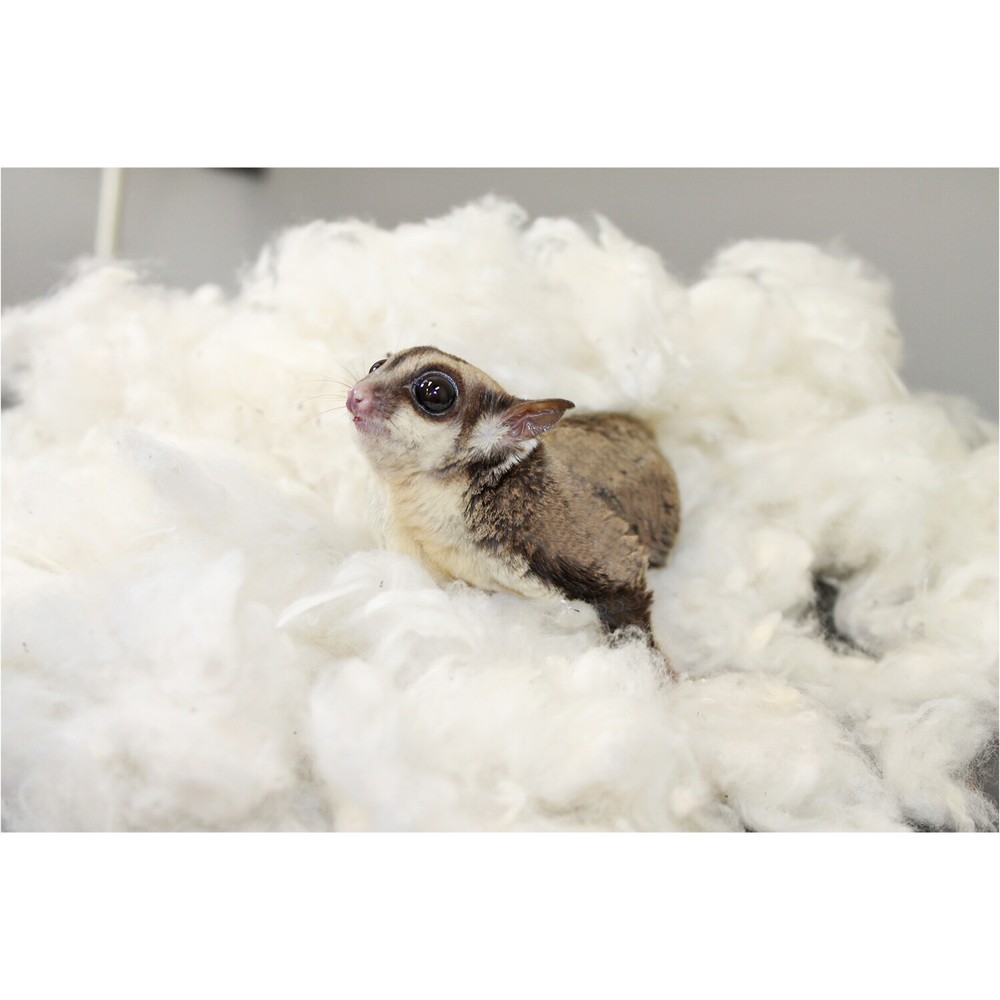 All-Natural Nesting Material 1.5 oz. - Sugar Glider, Squirrel, Rabbit, Hamster