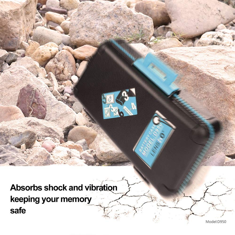 LENSGO Camera Battery Memory Card Case, Hard D950-Blue, Blue
