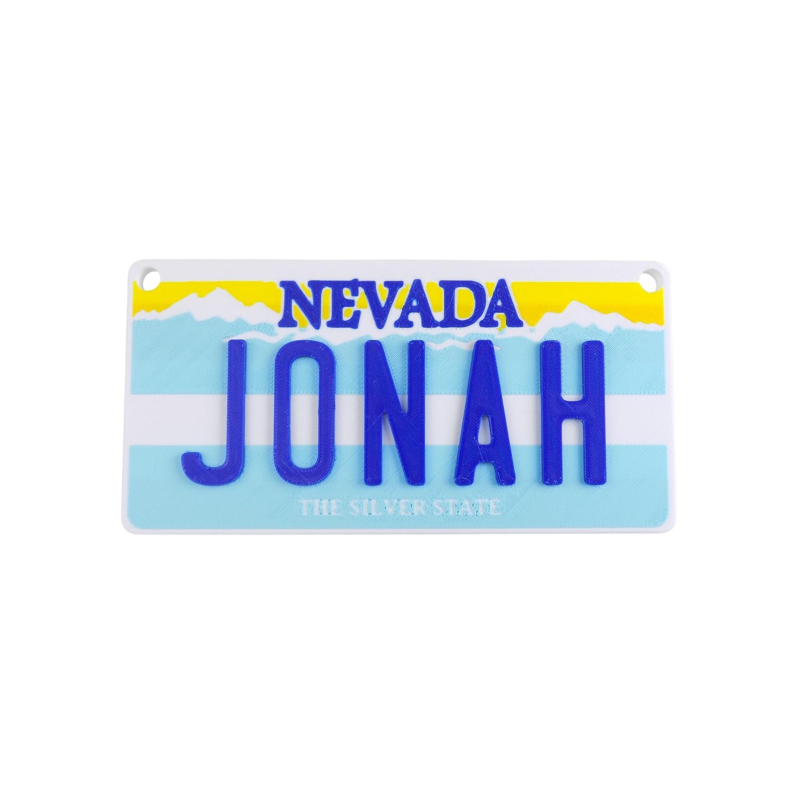 Personalized Mini License Plate Tag – Custom 3D 4x2” State Plate for Kids