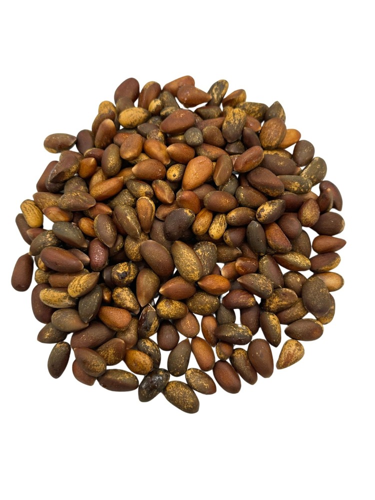 In-Shell Pinon Nuts 3 oz