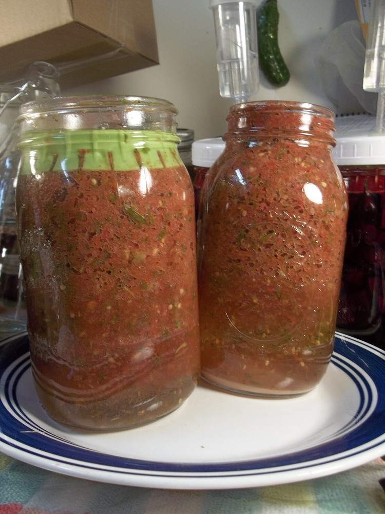 4 Pickle*Pusher Complete Fermenting Kits for Mason Jar
