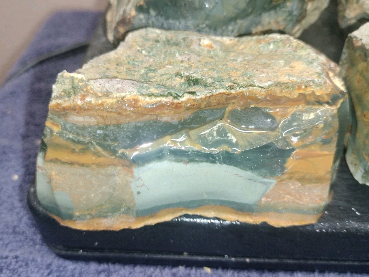 8.7LB ORBS Blue Mountain Picture Jasper Rough 6pc Lot #27