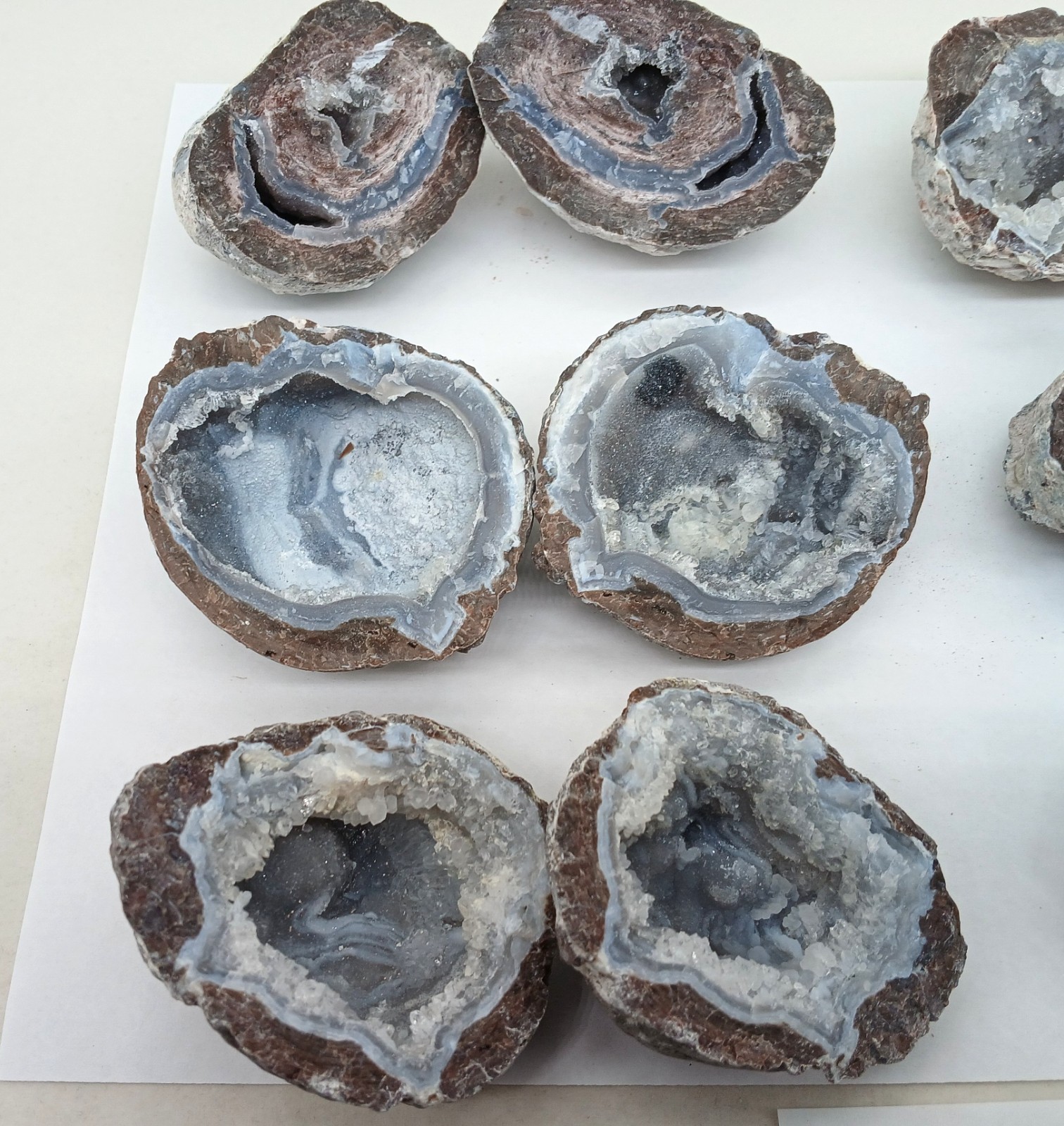 Bulk 2 Pound Group of Small Utah Dugway Geodes Thundereggs 1.50-2.00"