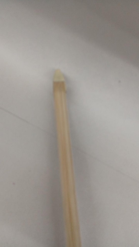 Andreas Eastman Vl80 Violin