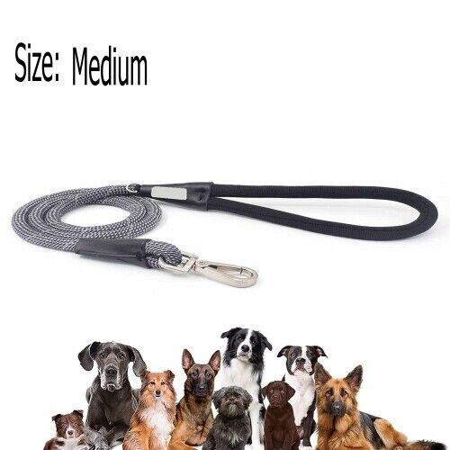 No Pull Dog Leash for Medium Dogs - Grey Nylon, Easy Control,Comfortable Walking