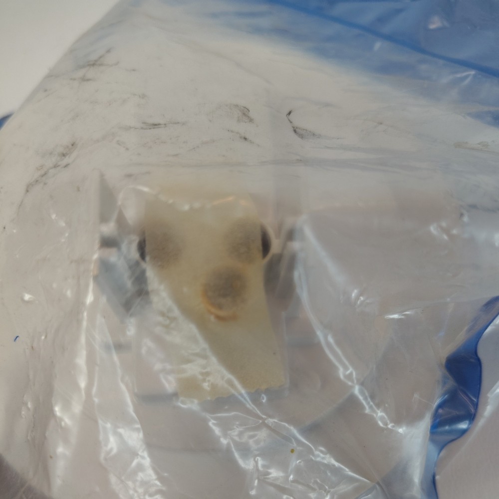 GROTE 54342 Stop/Turn/Tail Light,Round,Red 5UVT8