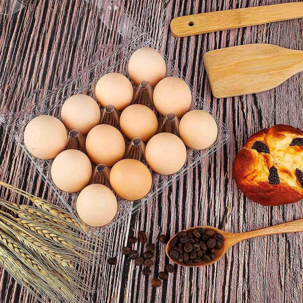 60 Pack Plastic Egg Cartons Cheap Bulk 1 Dozen Clear Empty for Chicken Eggs