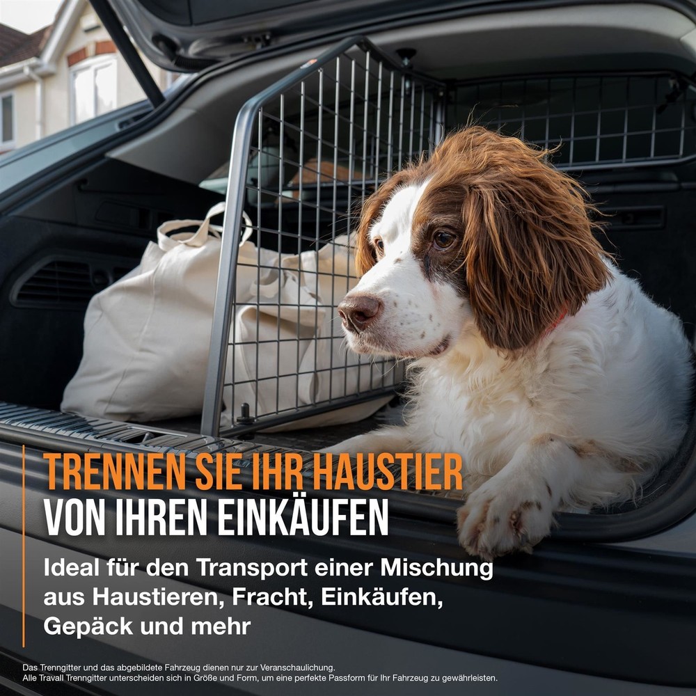 Travall Dog Guard & Divider Bundle CUPRA Born Hatchback (2021-)