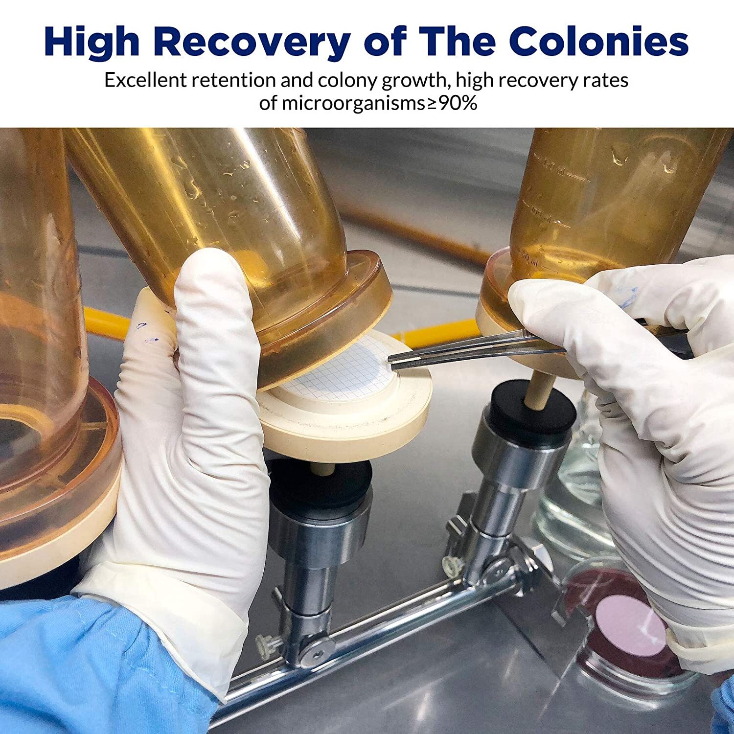 MCE Gridded Membrane Filters, 47mm Diameter, 0.22 um 0.45 μm Pore Size, STERILE