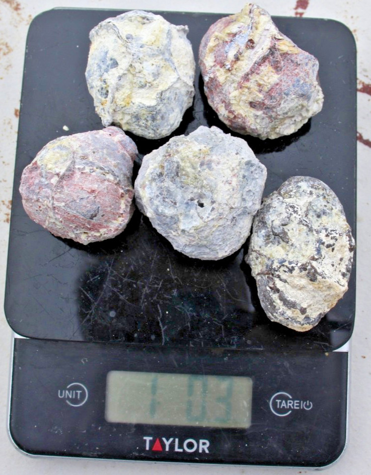 One Pound, 5-7 Whole Dugway Geodes • 1.5" - 2.0" diam.