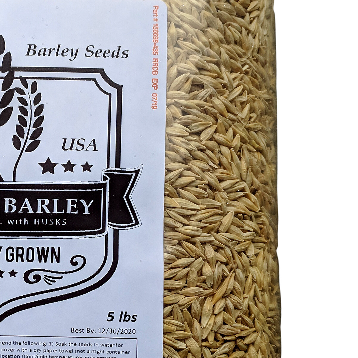 Barley Seeds 🔥 Bulk 5-10 # Sprouting-Juicing-Malt-Brewing-Beer Making NONGMO