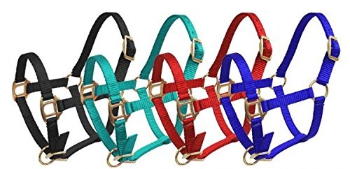 Showman FOAL/MINI Premium Nylon Halter w/ Brass Hardware