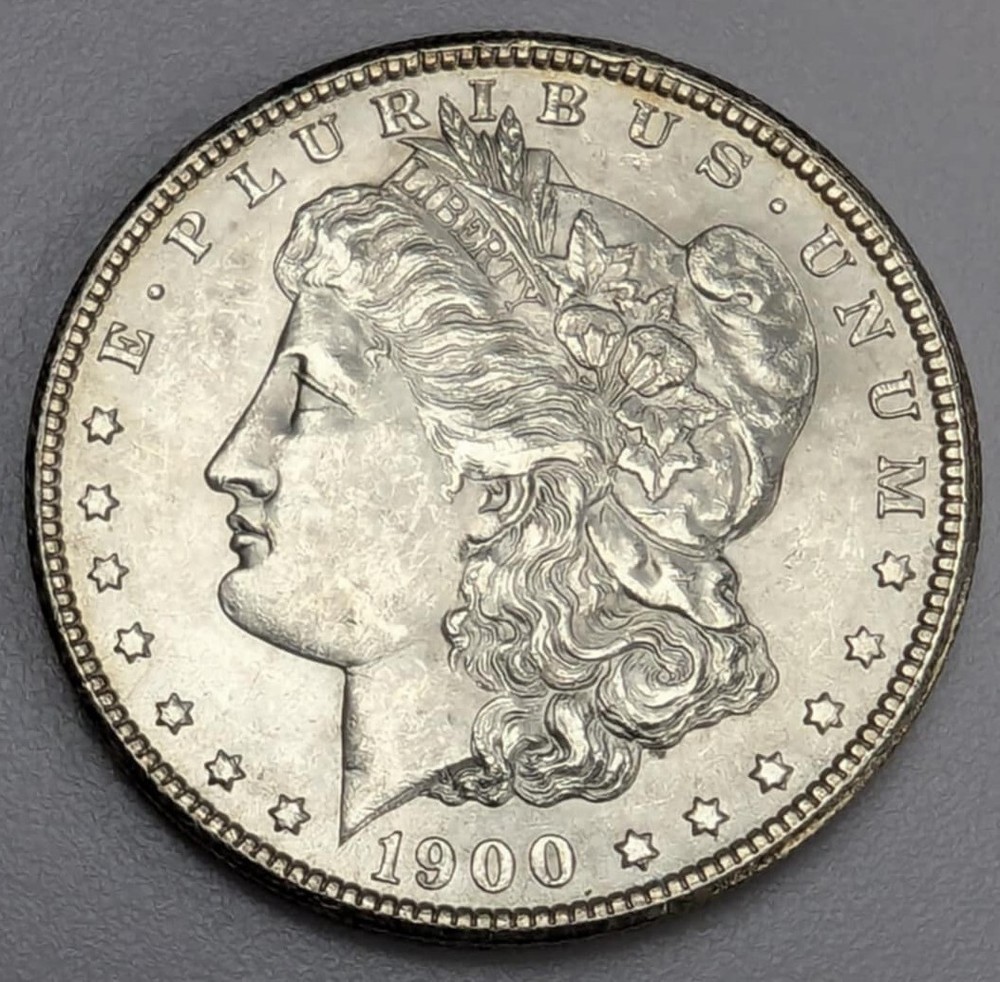 1900 Morgan Silver Dollar US Coin