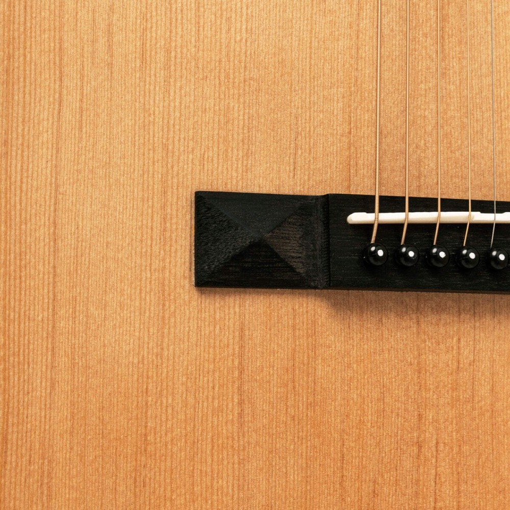SA45 OCE-AC Guitarra Acústica