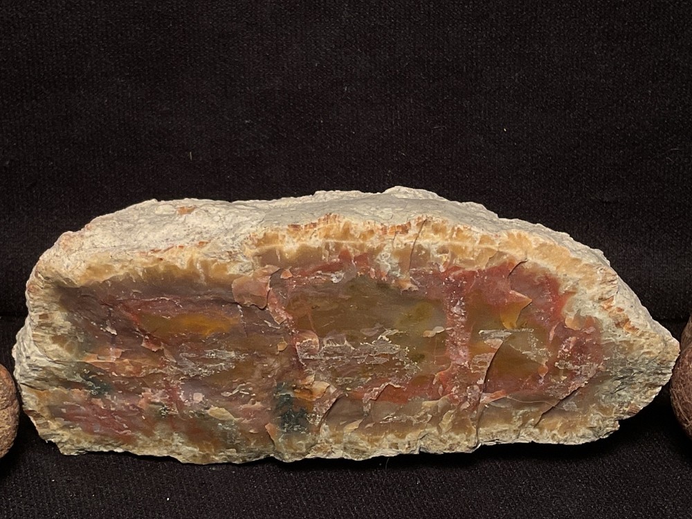 ~RW~ UNPOLISHED ONE POUND PIECE "DINOSAUR COPROLITE" ~~ TWO FORMS