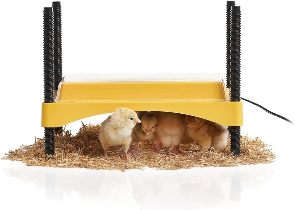 Indoor Poultry Heating Plate, 12 Watt, Adjustable for Comfortable Brooding