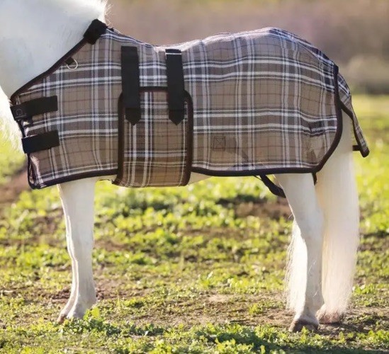 Kensington Protective Sheet Mini