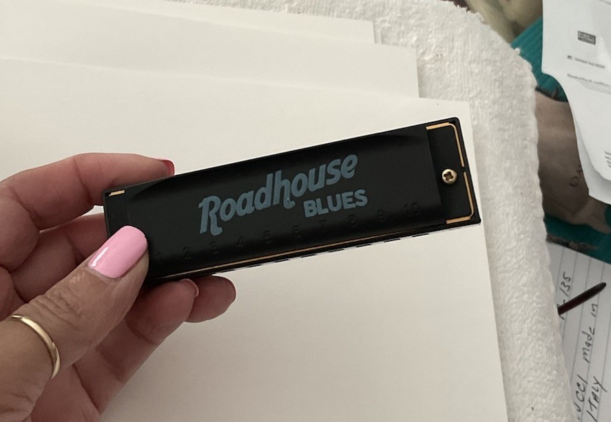 Roadhouse Blues Hohner Harmonica Set