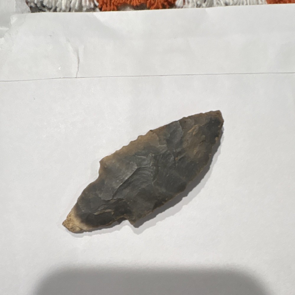 Middle tn turkey tail