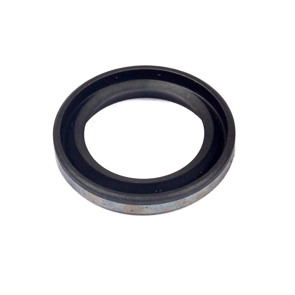 Briggs & Stratton Oil Seal | 299819S