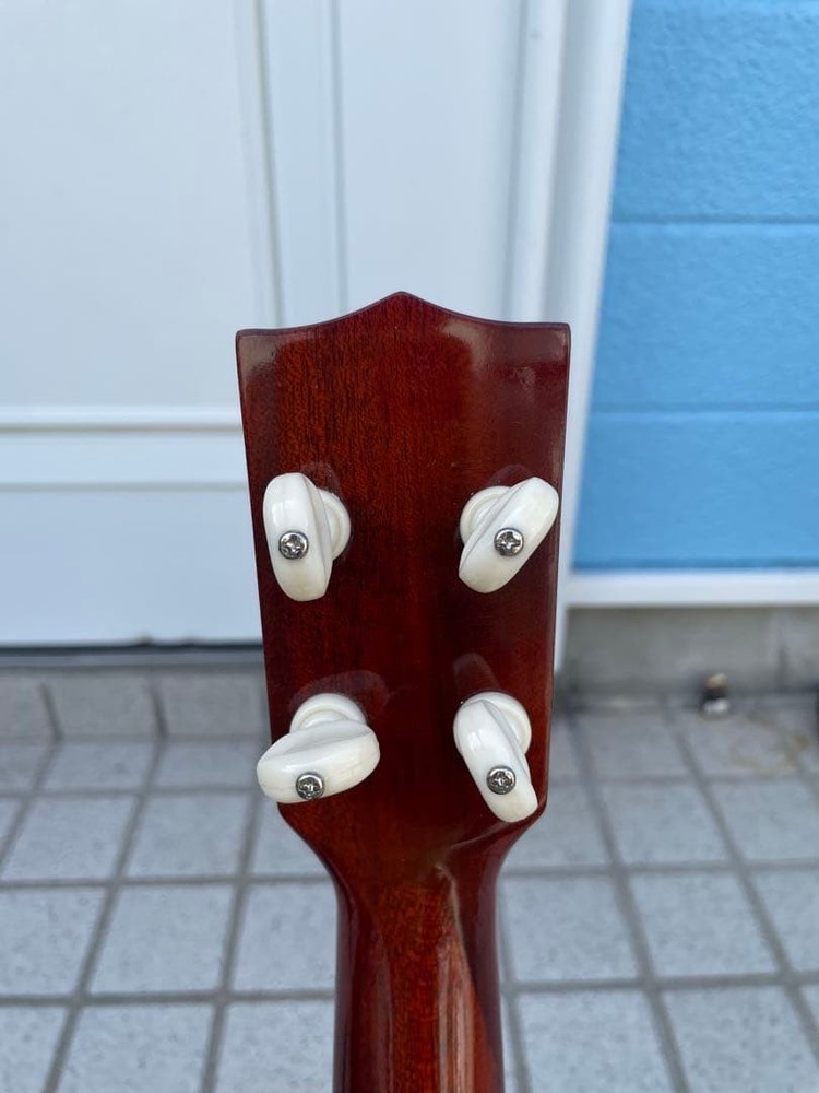 Aria ukulele with bird case