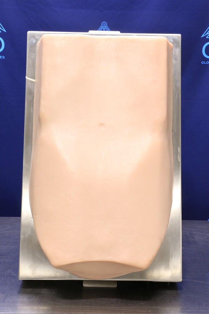 ACDET AbSim Model PT Abdominal Palpation Training Simulator