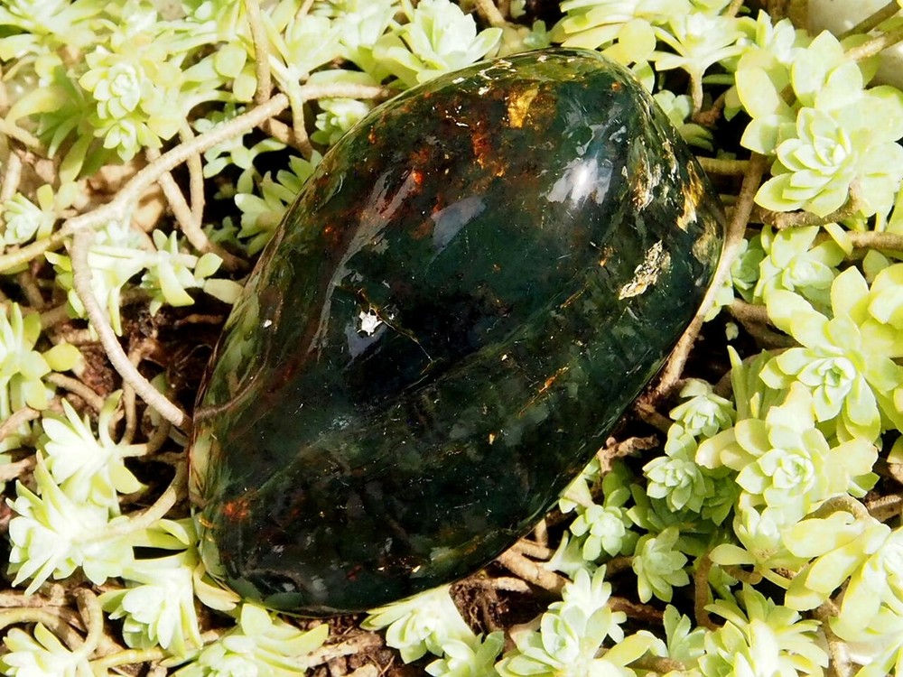 Fully Polished Mexican Amber 110 g