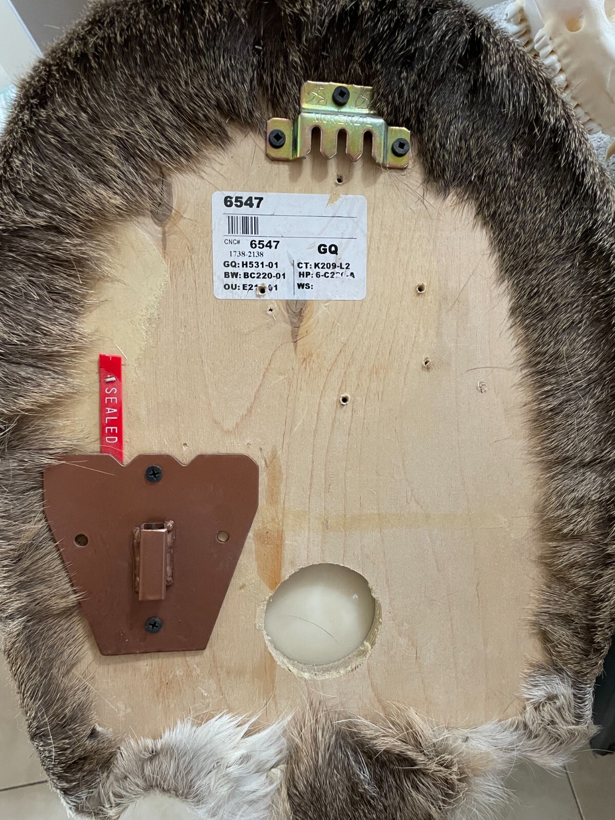 Amazeen Outdoors Adjustable Shoulder Mount Wall Hanger Whitetail Deer Mule