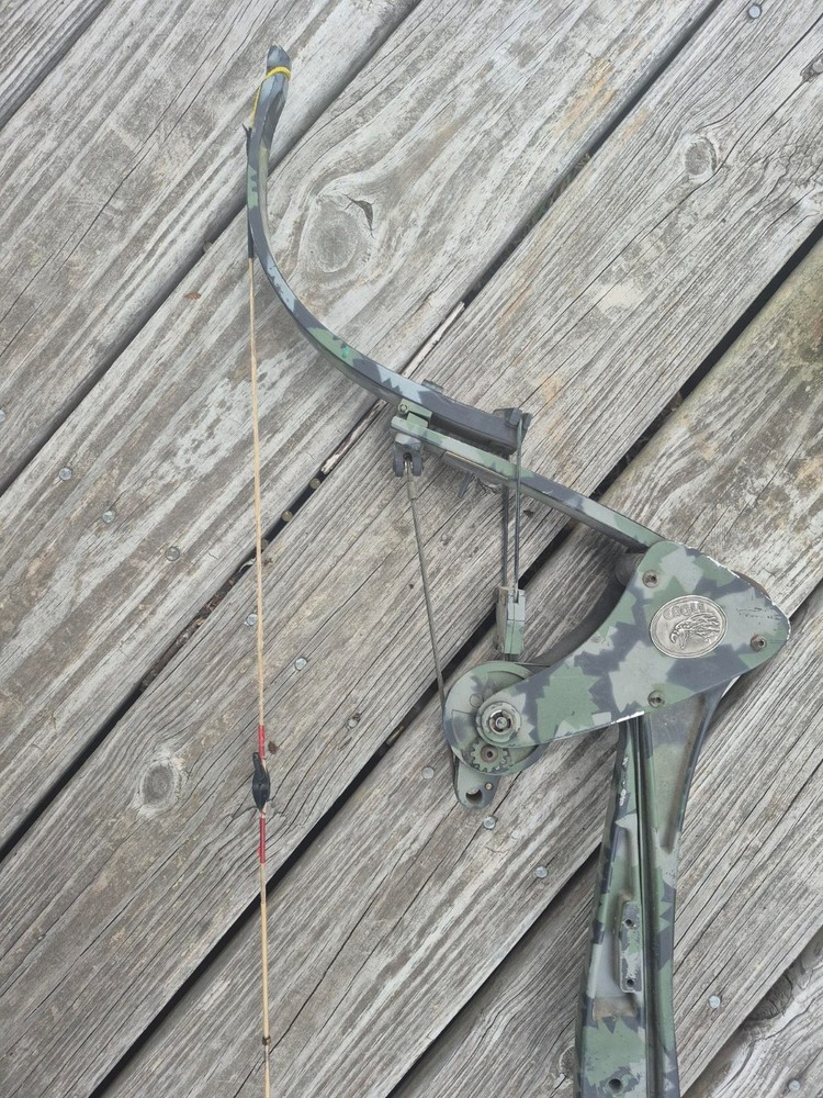 Horton Crossbow, Eagle compound bow, and Bolts