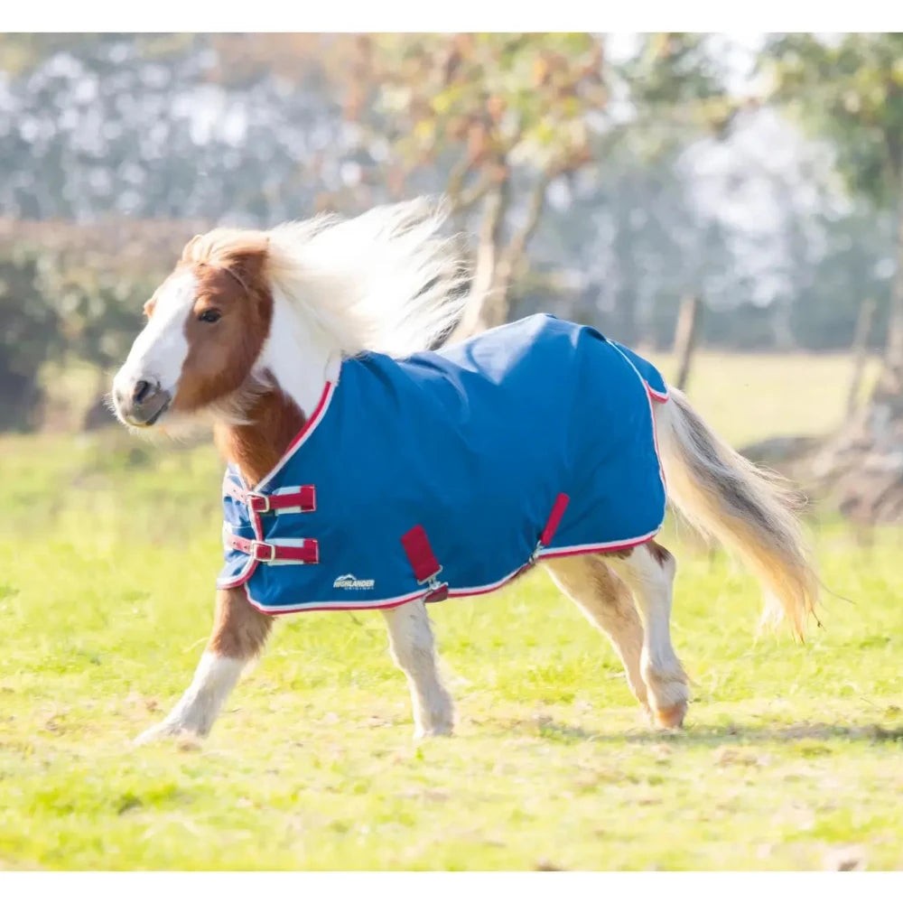 Shires Miniature Highlander Lite Teal