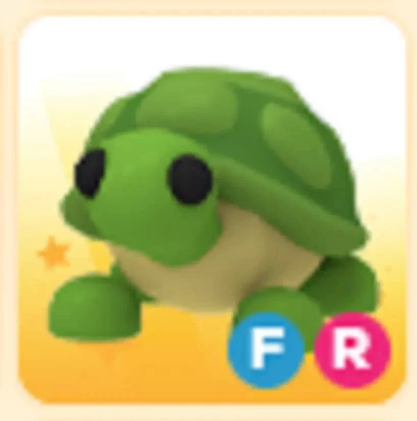 FR Turtle - Fly Ride  *SAME DAY DELIVERY* - Adopt