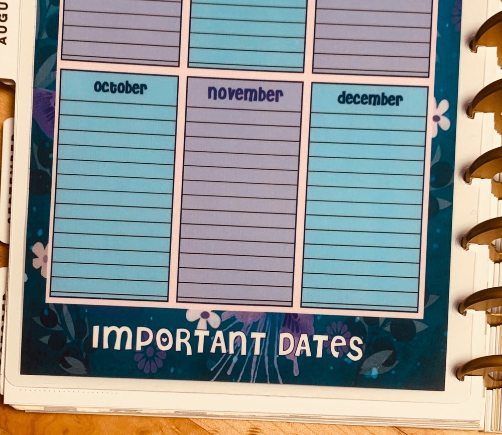 Important Dates 2 Sided Dashboard Insert for use with Happy Planner