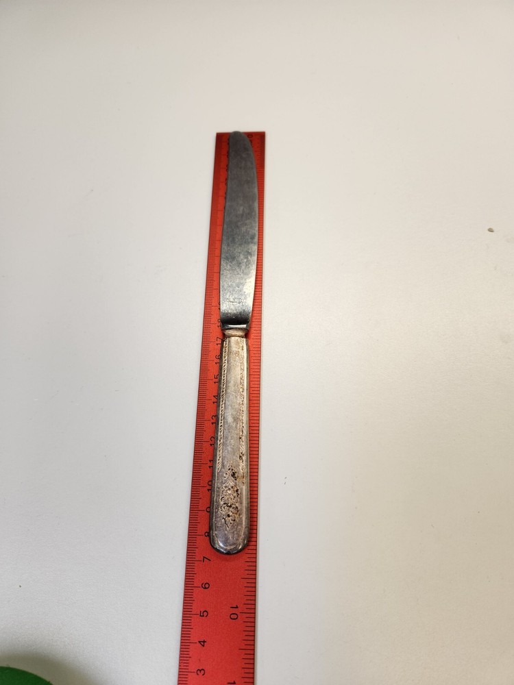 Wm Rogers Silverplate Flatware ~ 9" Dinner Knife