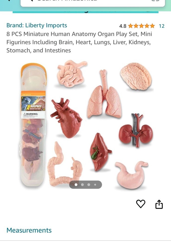 Aerospace Architecture: 8 Pcs Mini Human Anatomy