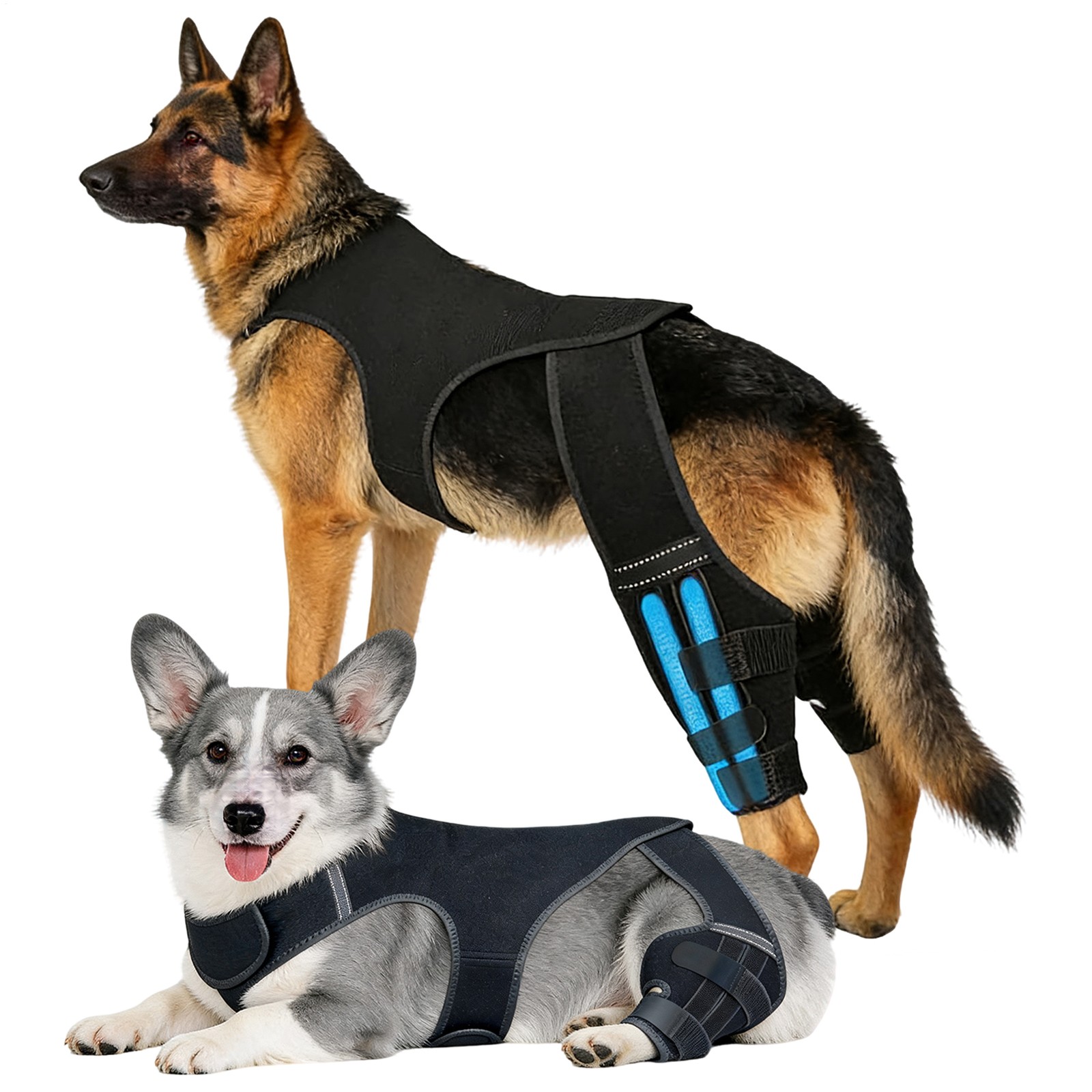 Dog Knee Brace for ACL & Hip Support - Adjustable Rear Leg Brace for Recovery
